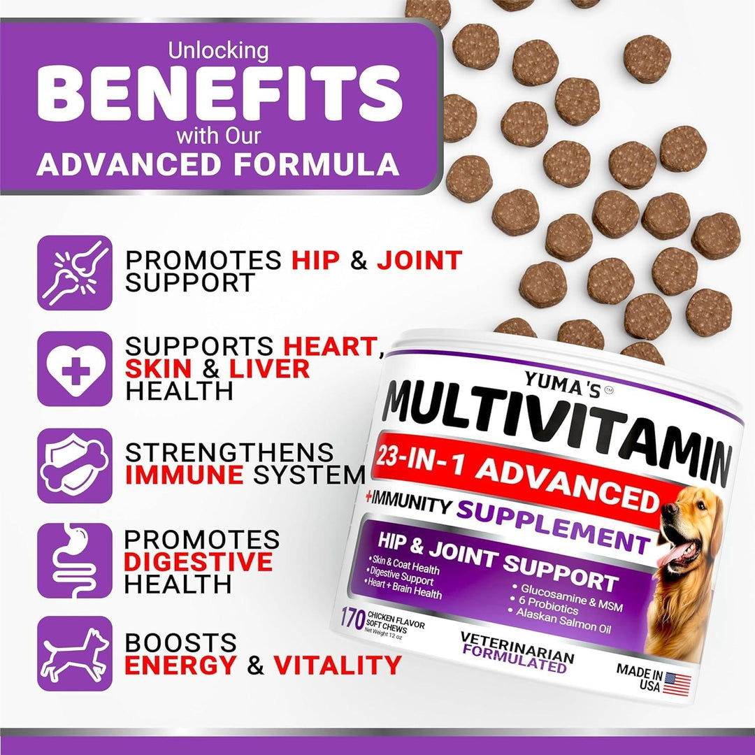 (2 Pack) Multivitamin Treats for Dogs   Made in USA