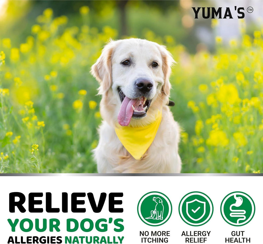 YUMA'S 2 Pack Dog Allergy Relief Chews   Dog Itching Skin Relief Treatment Pills   Anti Itch for Dogs   Itchy and Paw Licking   Dry Skin & Hot Spots   Omega 3 Fish Oil   Skin & Coat Supplement