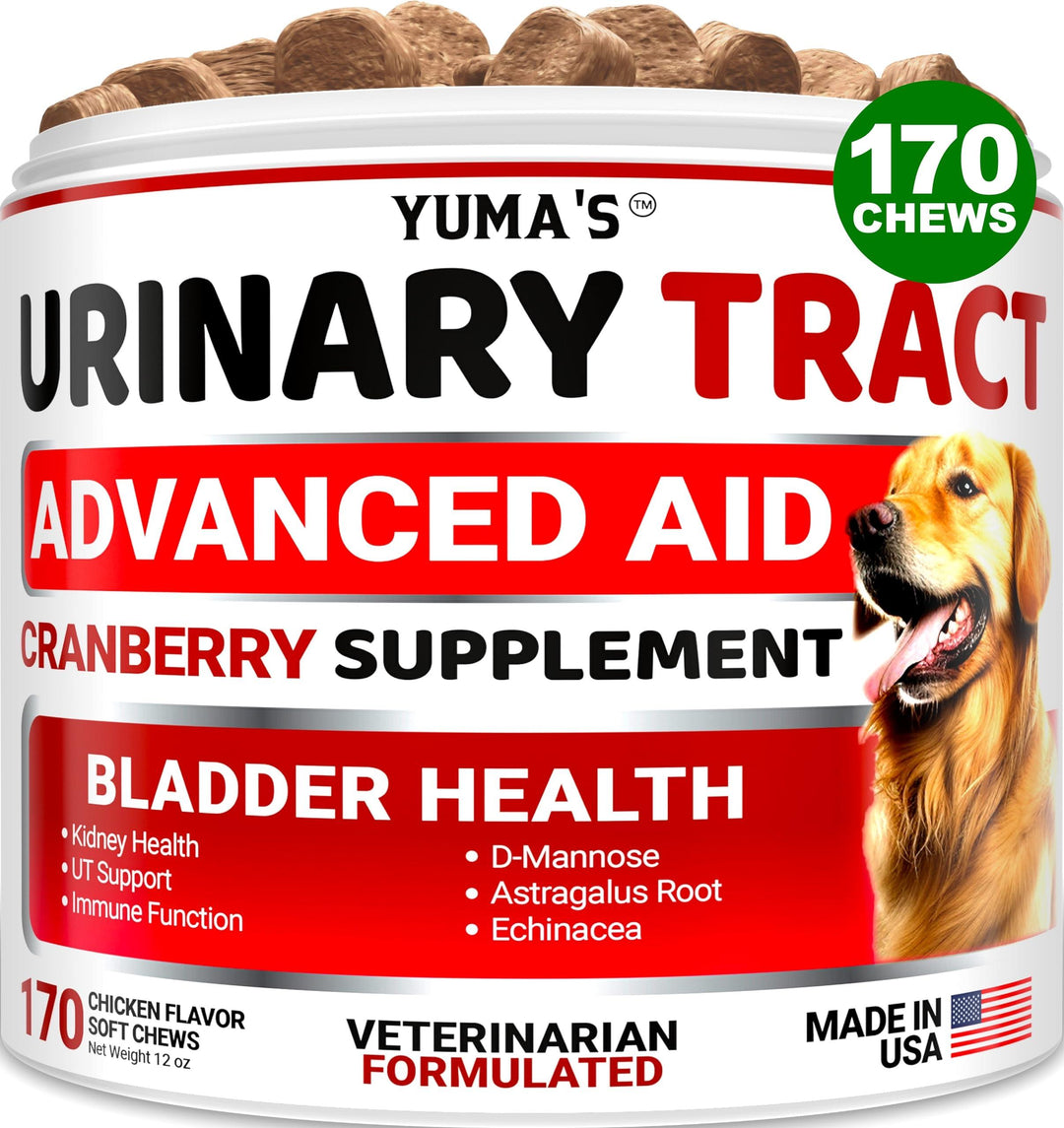 Dog UTI Treatment   170 Treats   Cranberry Supplement for Dogs   Bladder Control for Dogs   Dog Urinary Tract Infection Treatment   UTI Medicine for Dogs Multivitamin   Dog Vitamins and Supplements