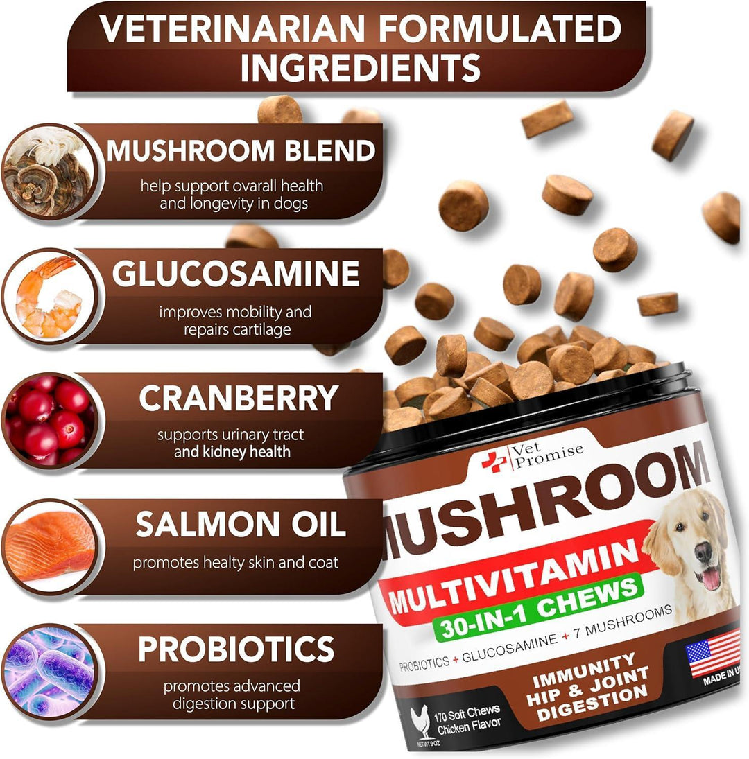 Mushroom for Dogs - 170 Chews - Turkey Tail Mushroom for Dogs - Mushroom Supplement for Dogs - Lions Mane - Reishi - Immunity Support Multivitamin - Joint Health - Energy - Gut - Skin - Dog Vitamins