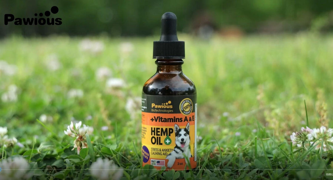 Hemp Oil for Dogs & Cats   Large 2oz Bottle Made in USA   Joint Pain and Anxiety Relief Arthritis Seizures   Calming Aid Supplement with Vitamins A C E and Omega 3 6 9 100% Organic Hemp