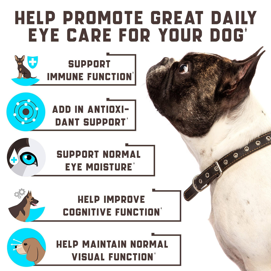 Eye Vitamins for Dogs   Dog Vision Supplement for Tear Stains Dog Eye Care Immune Support   Vitamin С Carrot Fish Oil Lutein   180 Soft Chews with Duck Flavor   for All Breeds and Ages