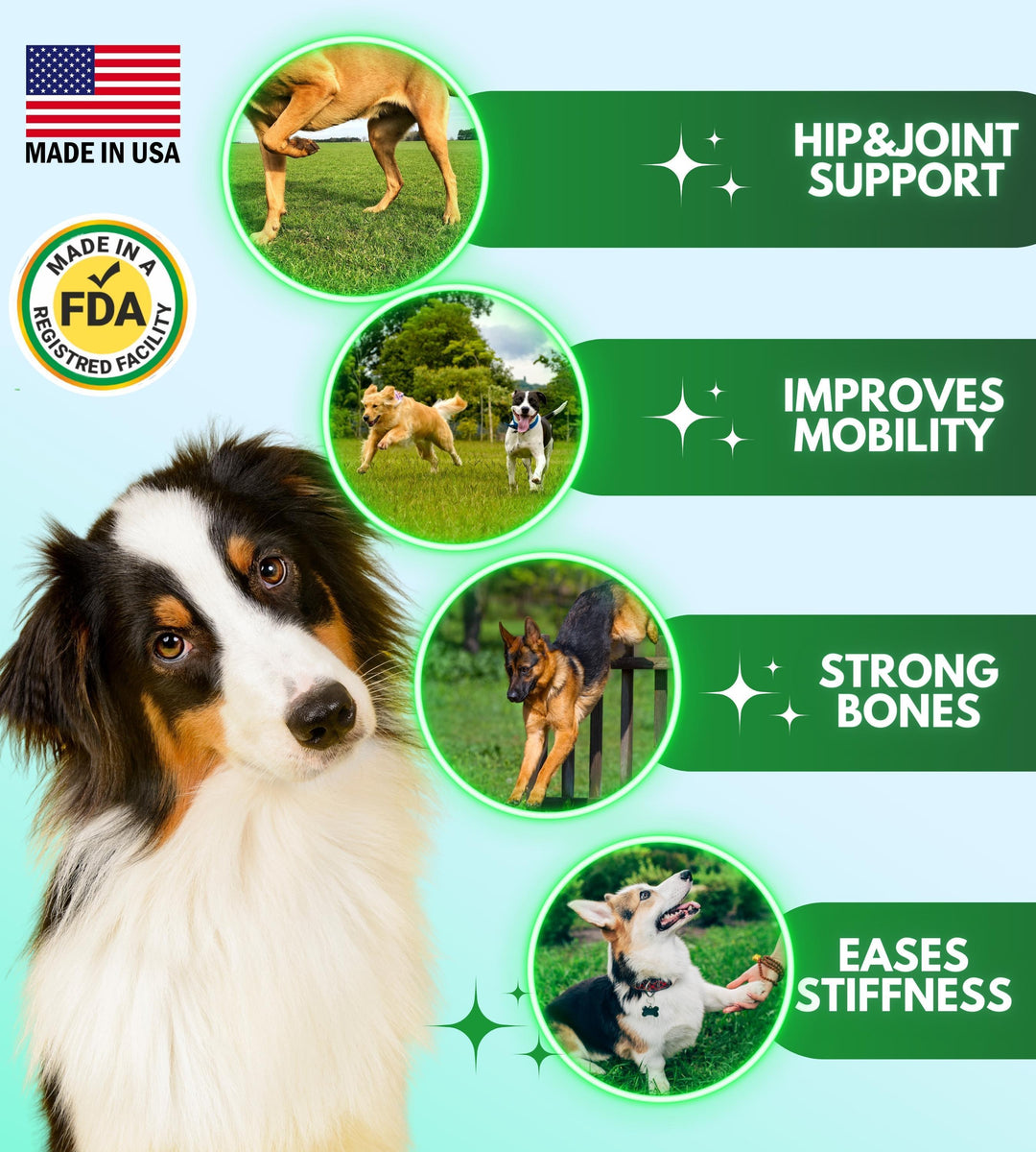 Pawious Hip and Joint Supplement for Dogs   Glucosamine for Dogs   Dog Joint Pain Relief   Chondroitin MSM Hemp Treats   Advanced Support Dog Joint Supplement Health   Mobility Support Chews