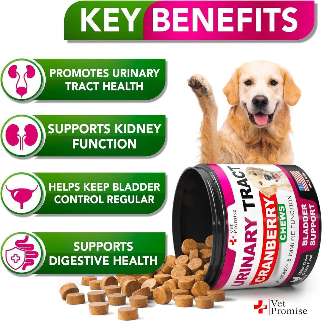 Dog UTI Treatment - Cranberry Supplement for Dogs UTI - Bladder Control for Dogs - Dog Urinary Tract Infection Treatment - UTI Medicine for Dogs - Dog Cranberry Supplement Vitamins Multivitamin Chews