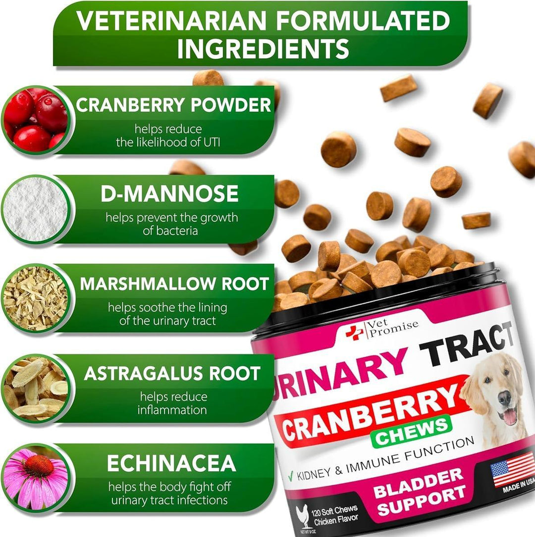 Dog UTI Treatment - Cranberry Supplement for Dogs UTI - Bladder Control for Dogs - Dog Urinary Tract Infection Treatment - UTI Medicine for Dogs - Dog Cranberry Supplement Vitamins Multivitamin Chews